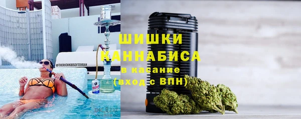 PSILOCYBIN Покров