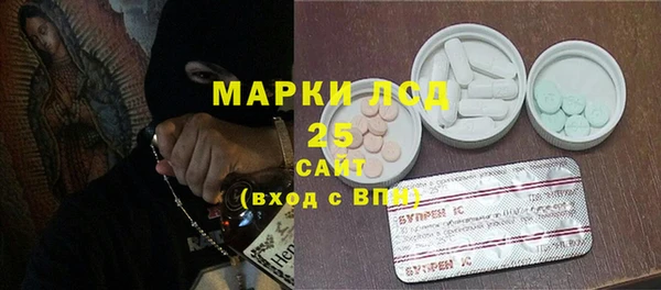 PSILOCYBIN Покров
